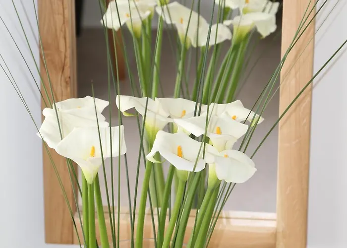 Camelia 1 - Psarou View - Private Pool And Jacuzzi *